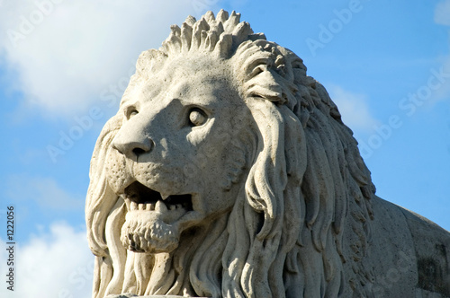 Photography budapest lion