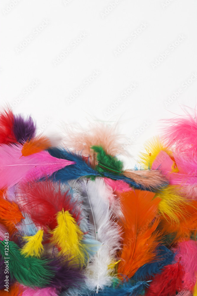 feathers feathers