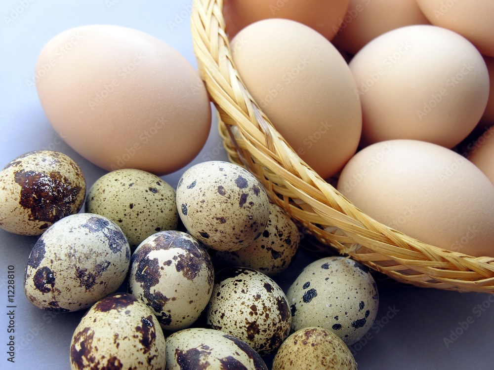 various eggs various eggs