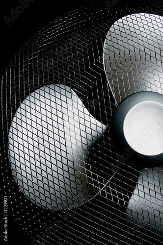 fan