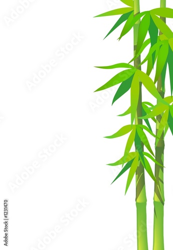 bamboo leaves on blank