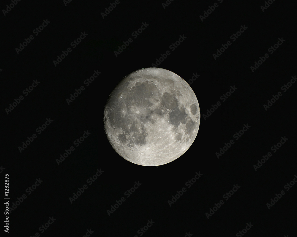 august moon 2006 august moon 2006