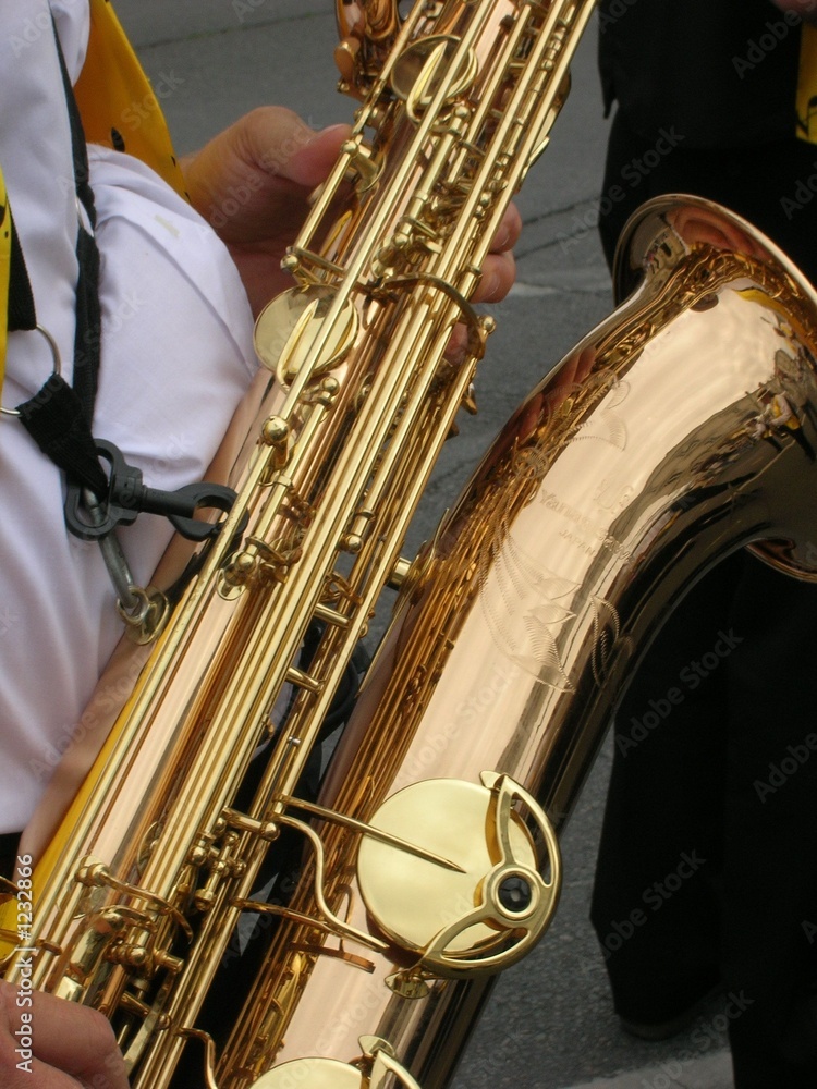 Obraz premium saxo 1