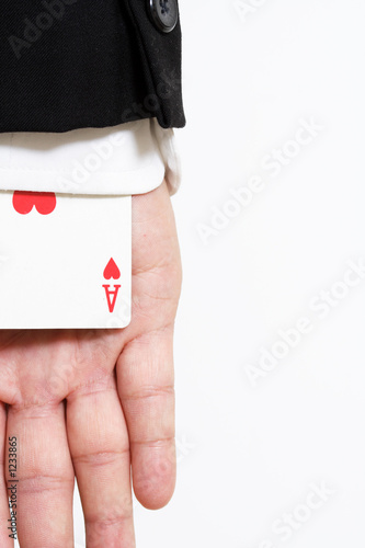 ace of hearts photo