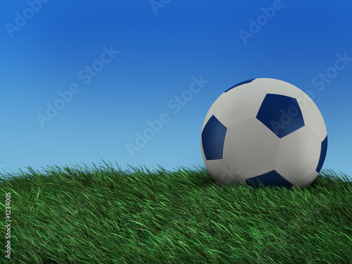 illustration of a ball to play soccer