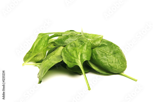rocket (herb)
