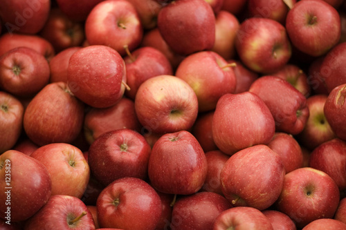lots of apples