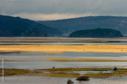 cerknisko jezero photo