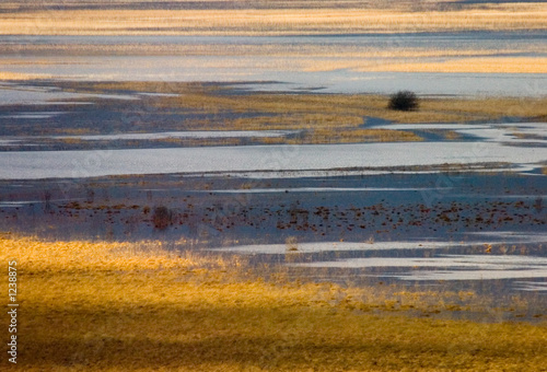 cerknisko jezero