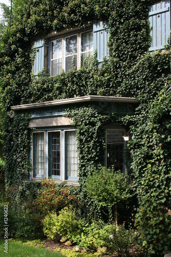 vine covered house