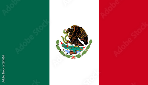 flag of mexico photo