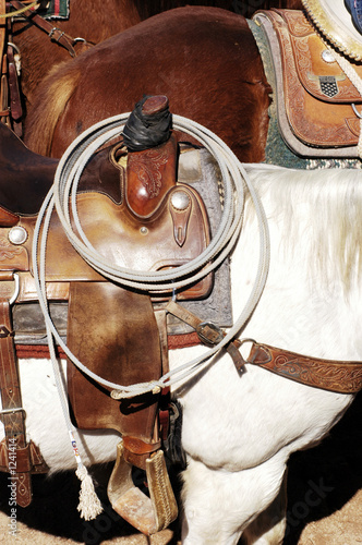 saddle & rope