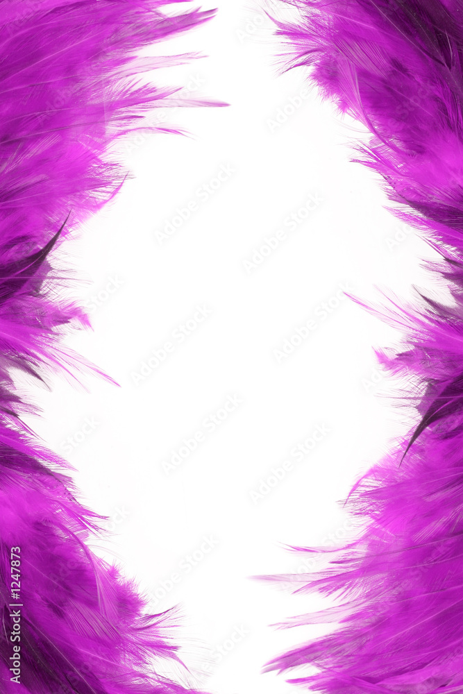 Obraz premium feather borders