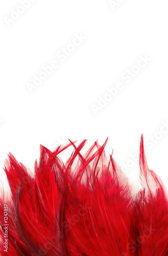 feather borders