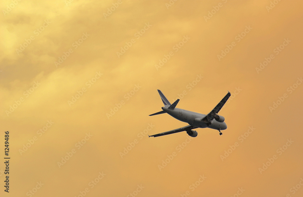 landing flight on sunset light