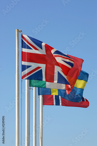 international flags photo