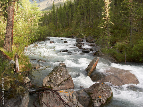 rapid mountain stony river