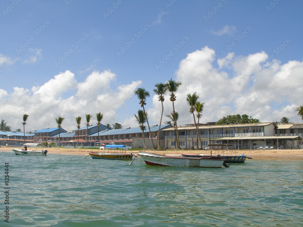 Naklejka premium palm coast