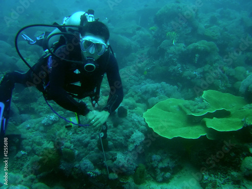 coral reef diver © simon gurney