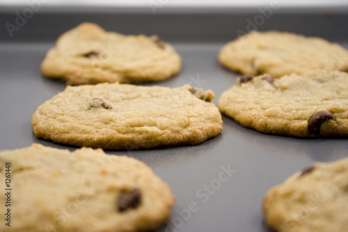 chocolate chip cookies hot to go