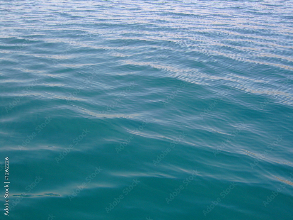 Fototapeta premium meer