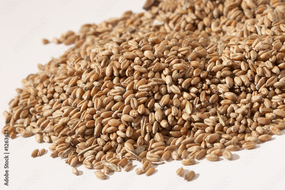 grain grain