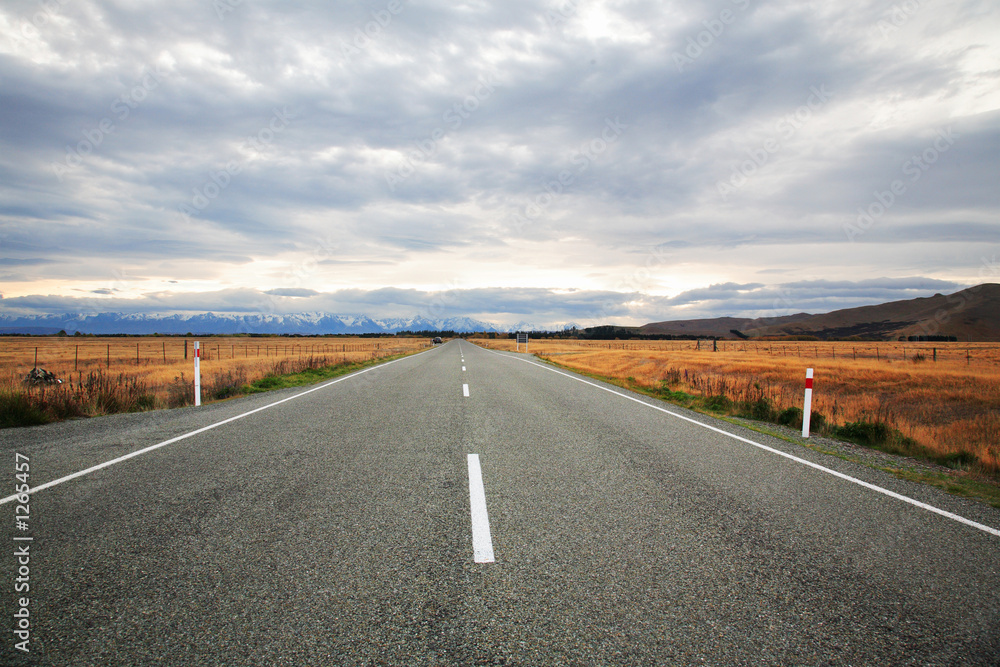 Fototapeta premium road to new zealand