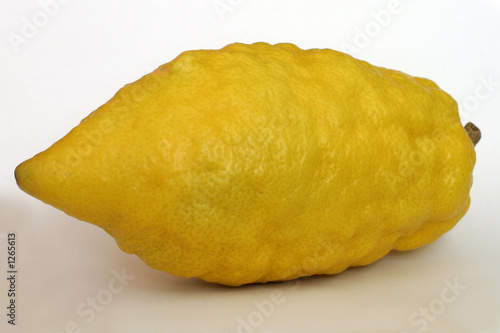jewish citron - isolated