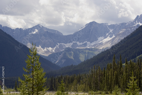 panorama of the kootenay national park before a thunderstorm