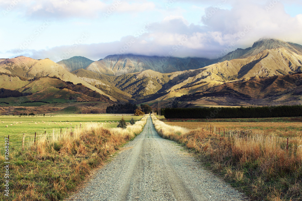 road-trip to nz