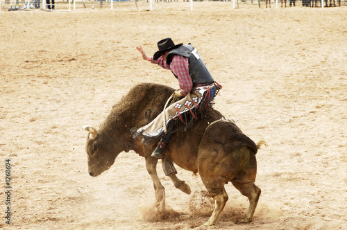 bull riding 1