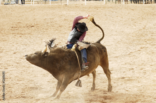 bull riding 2