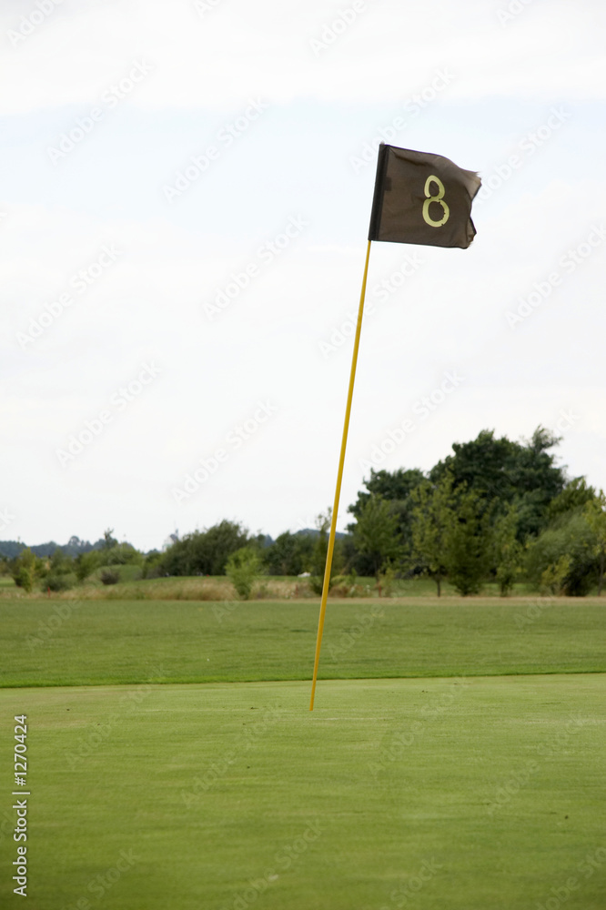 Obraz premium putting green pole golfowe 02