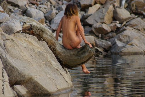 nude on a stump 7