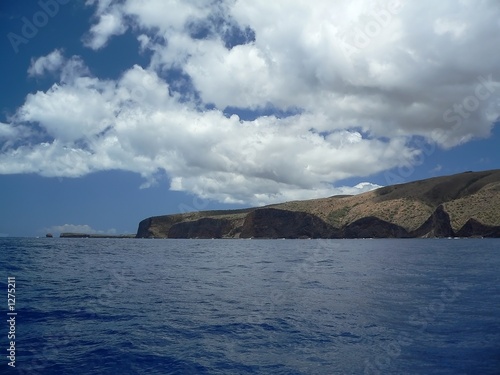hawaii coast