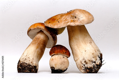 mushrooms