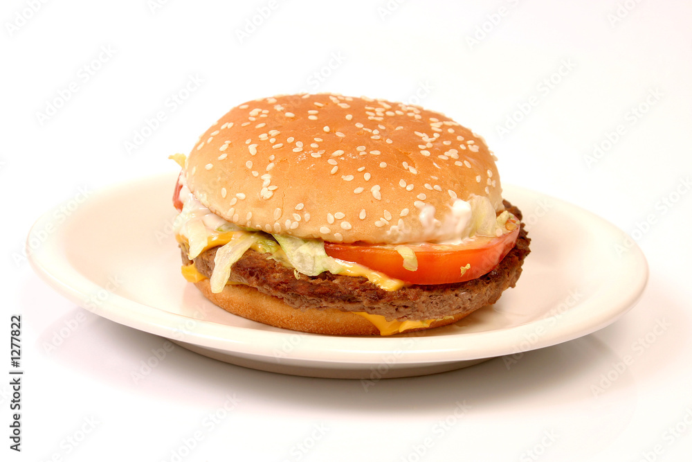 hamburger on a plate hamburger on a plate