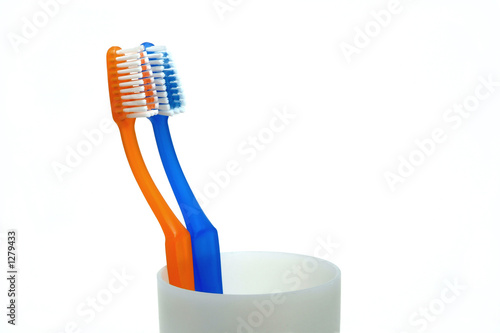 tooth brushes on cup