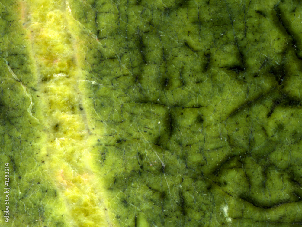 bowenite serpentine crystal bowenite serpentine crystal
