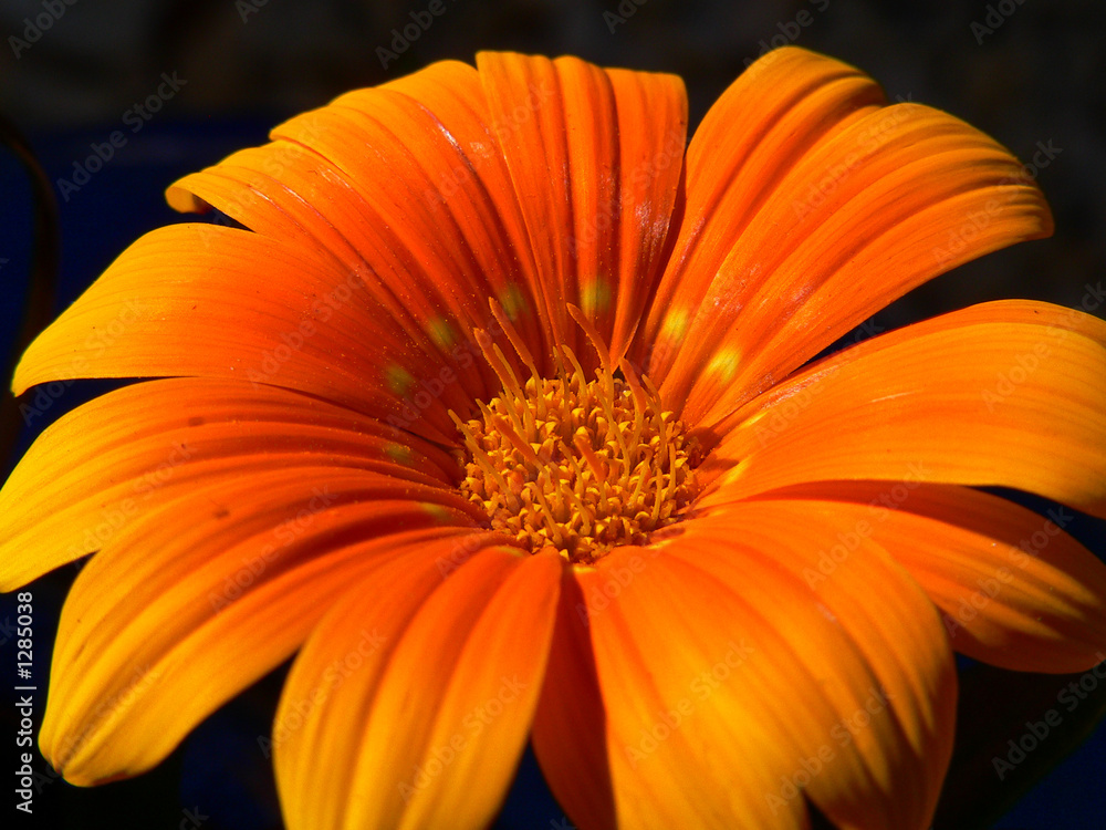 sonnenfarben sonnenfarben