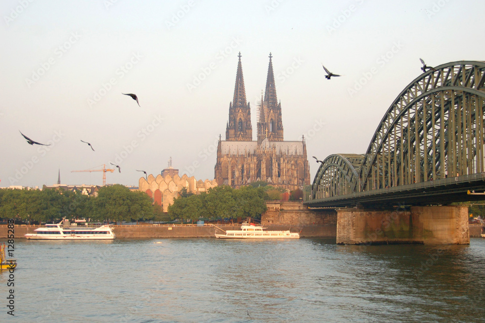 Naklejka premium kölner dom am morgen