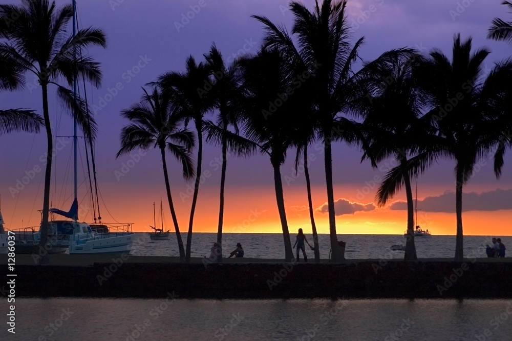 tropical sunset picture