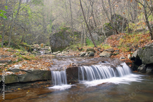Photography mountain brook in autumn