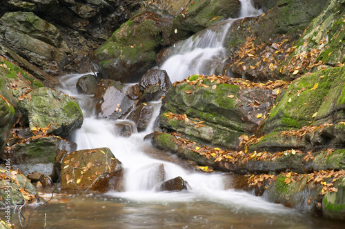 rapids in a mountain brook