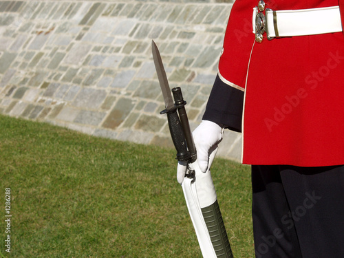 guardsman's bayonet photo