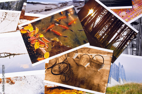 digital pictures