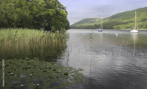 lilly and reeds, lake district, uk