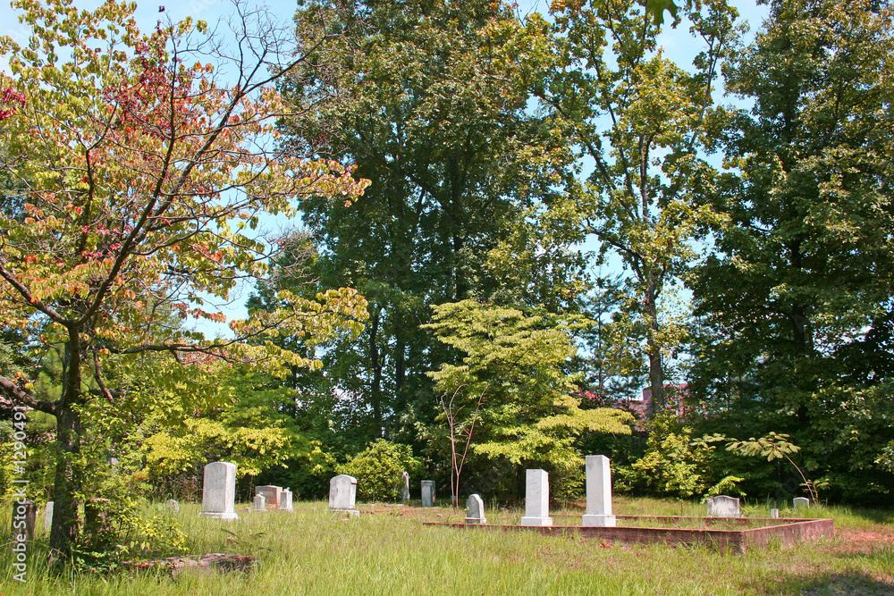 forest cemetery forest cemetery