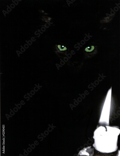 black cat and flame