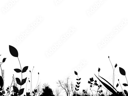 summer foliage border